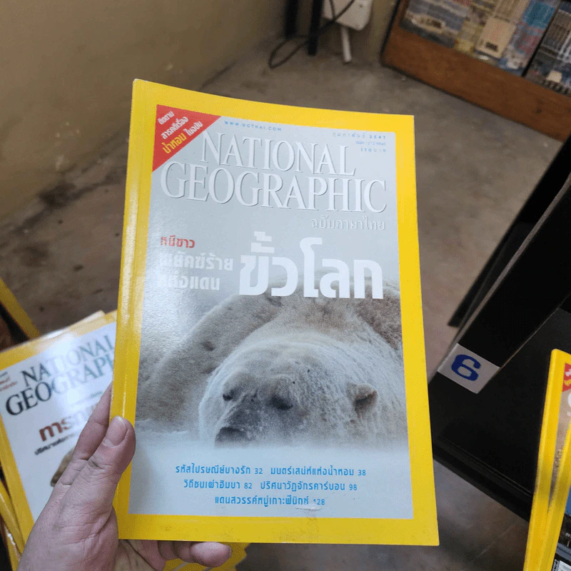 National Geographic ก.พ.2547 หมีขาวพยัคฆ์ร้ายแห่งแดนขั้วโลก รูปที่ 1