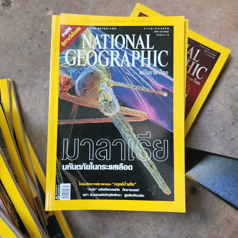 National Geographic ก.ค.2550 มาลาเรีย มหันตภัยในกระแสเลือด รูปที่ 1