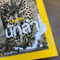 National Geographic เม.ย.2550 บทเรียนนักล่า รูปที่ 3
