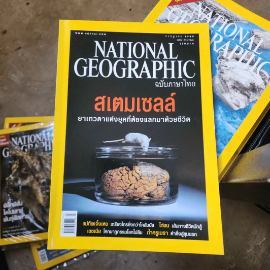 National Geographic ก.ค.2548 สเตมเซลล์ ยาเทวดาแห่งยุคที่ต้องแลกมาด้วยชีวิต รูปที่ 1