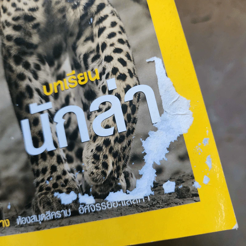 National Geographic เม.ย.2550 บทเรียนนักล่า รูปที่ 3