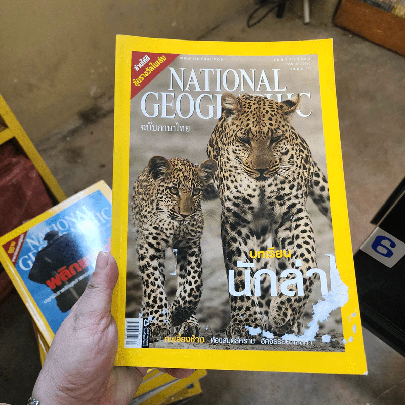 National Geographic เม.ย.2550 บทเรียนนักล่า รูปที่ 1