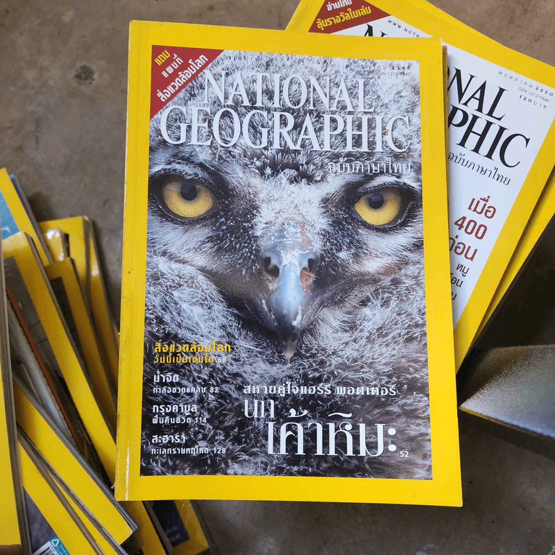 National Geographic ธ.ค.2545 สหายคู่ใจแฮร์รี่ พอตเตอร์ นกเค้าหิมะ รูปที่ 1