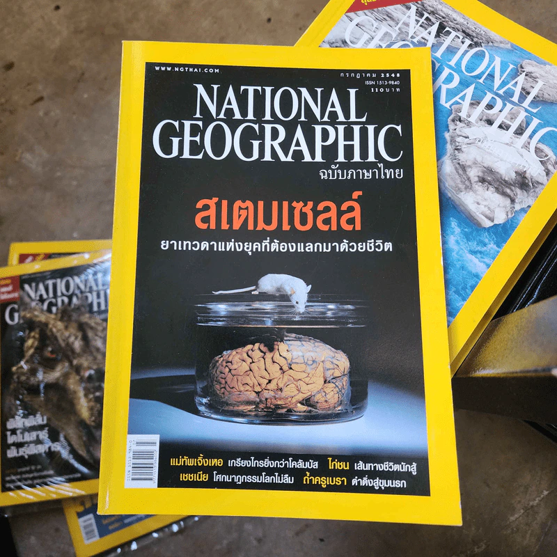 National Geographic ก.ค.2548 สเตมเซลล์ ยาเทวดาแห่งยุคที่ต้องแลกมาด้วยชีวิต รูปที่ 1