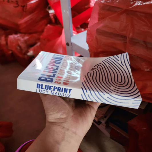 Blueprint How Our Childhood Makes Us Who We Are - Lucy Maddox รูปที่ 2