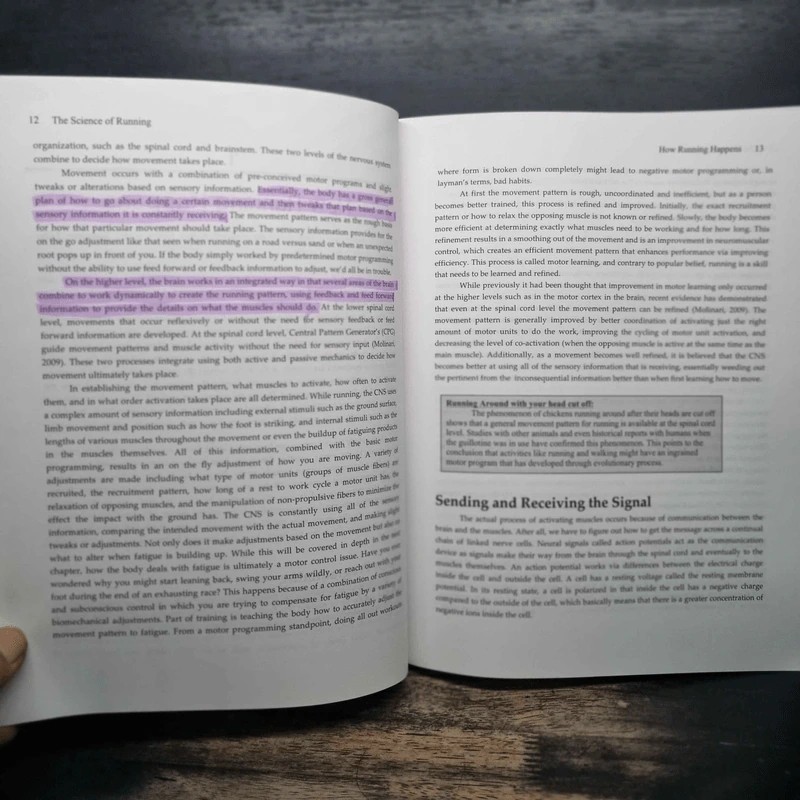 The Science of Running - Steve Magness รูปที่ 10