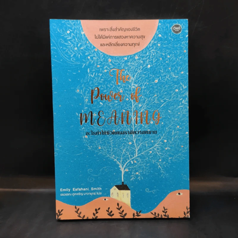 อะไรทำให้ชีวิตคนเรามีความหมาย : The Power of Meaning - Emily Esfahani Smith (เอมิลี่ เอสฟาฮานี สมิธ) รูปที่ 1