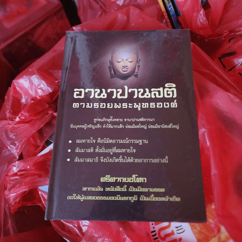 อานาปานสติ ตามรอยพระพุทธองค์ - ศรีศากยอโศก รูปที่ 1