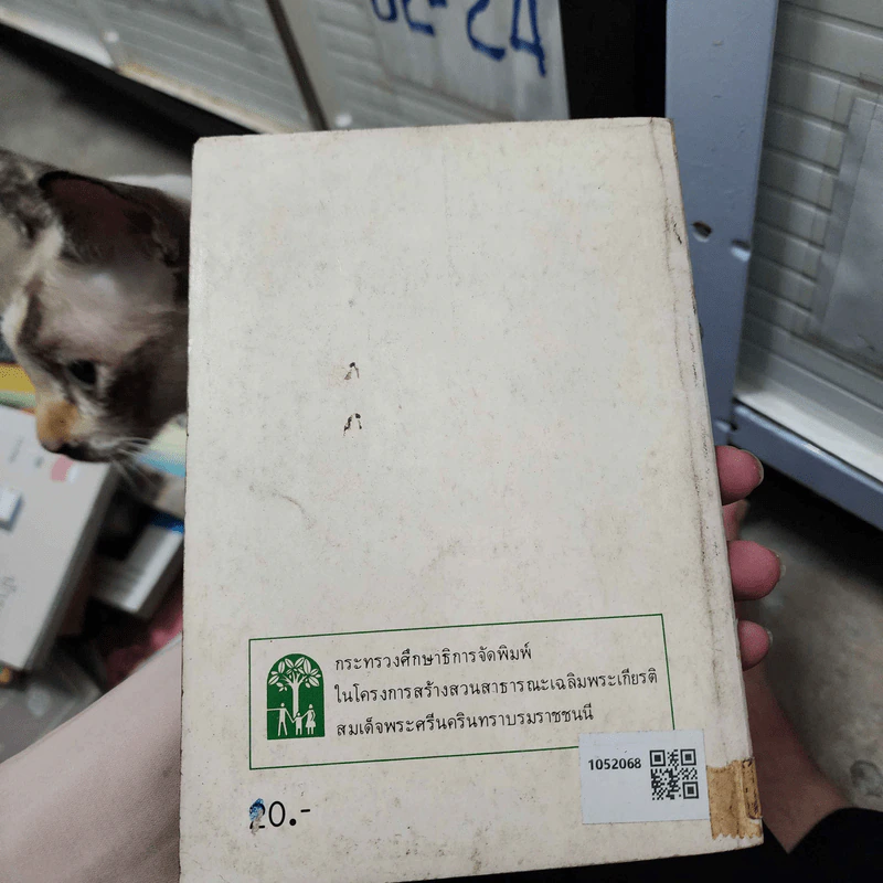 แม่เล่าให้ฟัง - สมเด็จพระพี่นางฯ รูปที่ 2