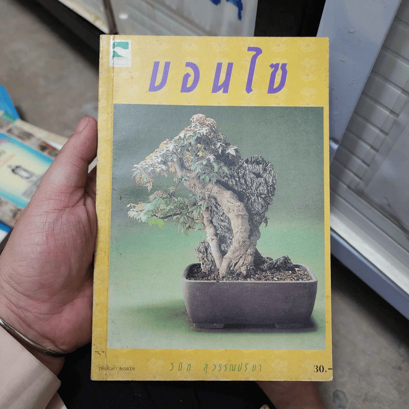 บอนไซ - วิชิต สุวรรณปรีชา รูปที่ 1