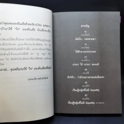 อินเดียนอกสายตา แต่สัมผัสได้ด้วยหัวใจ - หฤทัย บัวเขียว รูปที่ 9