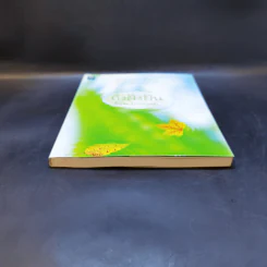 ถึงฝั่งฝัน - อ้อม ประนอม รูปที่ 3