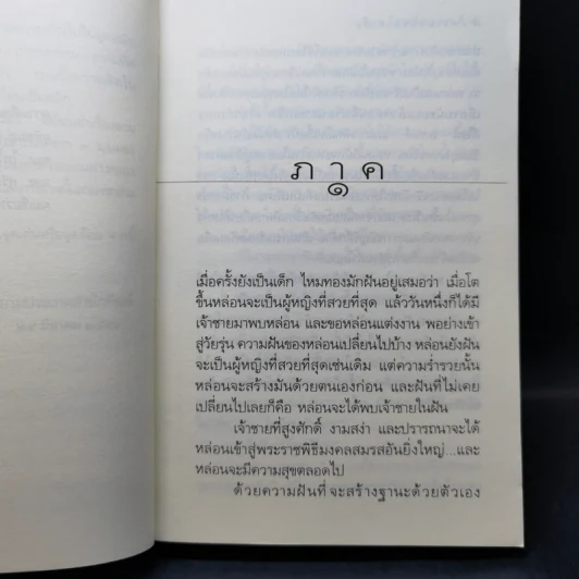 ความฝันของผีเสื้อ - วิมล ไทรนิ่มนวล รูปที่ 9