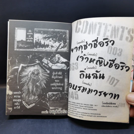 เจ้าหญิงจอมซ่า ยากุซ่าข้ามภพ เล่ม 1 รูปที่ 9