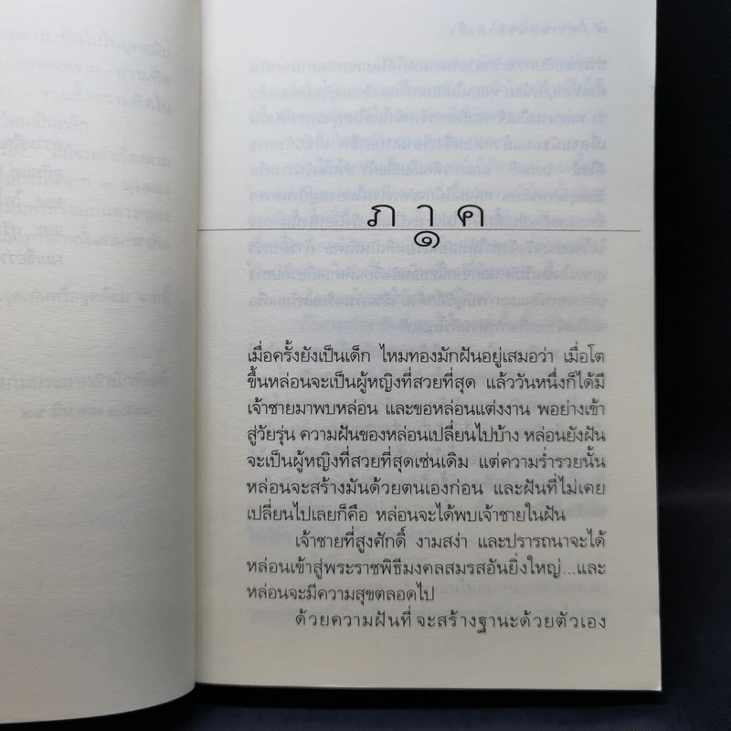ความฝันของผีเสื้อ - วิมล ไทรนิ่มนวล รูปที่ 9
