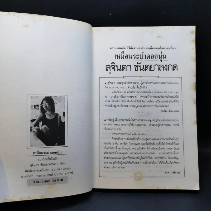 เหมือนระบำดอกนุ่น - สุจินดา ขันตยาลงกต รูปที่ 9