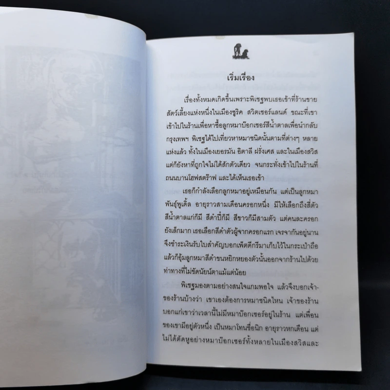 นิกกับพิม - ว.ณ ประมวลมารค รูปที่ 11