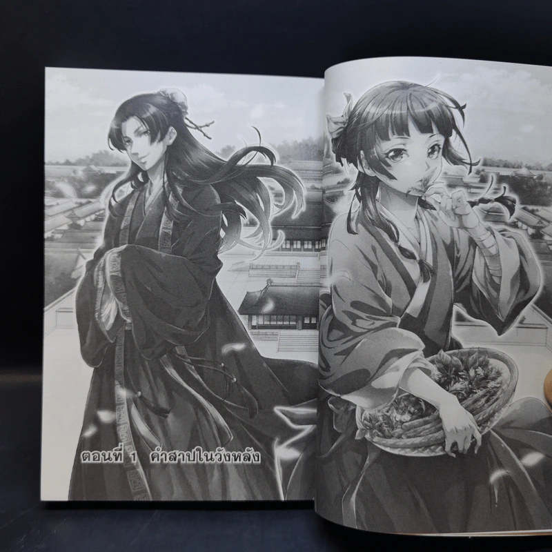 ตำรับปริศนา หมอยาแห่งวังหลัง เล่ม 1 รูปที่ 10