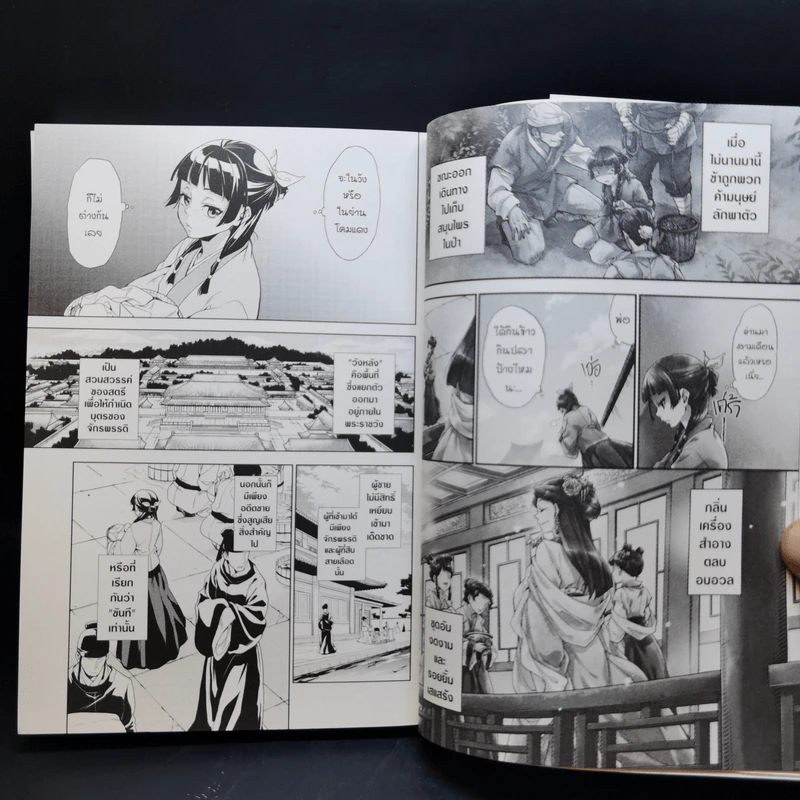 ตำรับปริศนา หมอยาแห่งวังหลัง เล่ม 1 รูปที่ 12