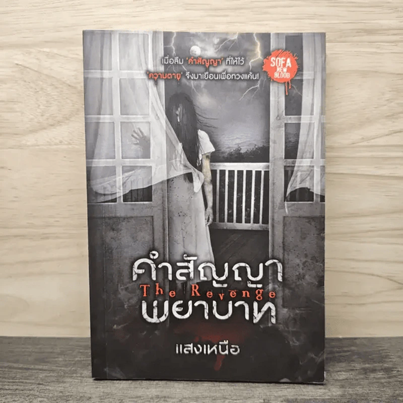 คำสัญญาพยาบาท The Revenge - แสงเหนือ รูปที่ 1