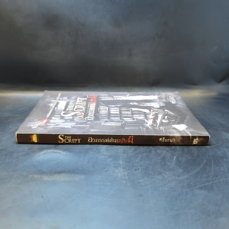 อาถรรพ์ต้นฉบับผี The Script - ตรีมรณา รูปที่ 3