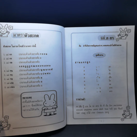 ชุดเสริมประสบการณ์ภาษาไทย มาตราตัวสะกด สำหรับนักเรียนช่วงชั้นที่ 1 (ป.1-3) รูปที่ 10
