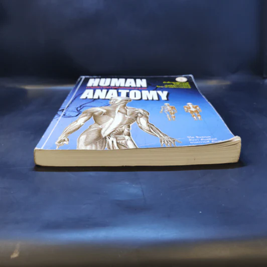 กายวิภาคศาสตร์ของมนุษย์ Human Anatomy รูปที่ 4