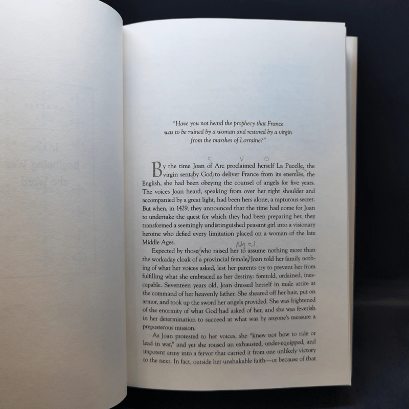 Joan of Arc: A Life Transfigured - Kathryn Harrison รูปที่ 10