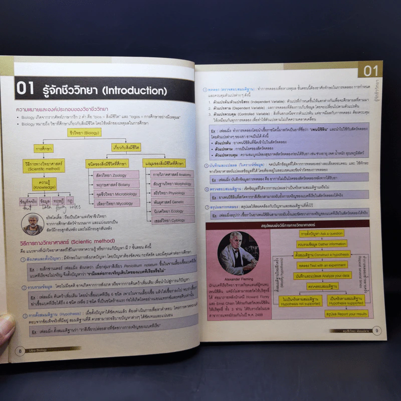 Ultra Biology สรุปชีววิทยา มัธยมปลาย รูปที่ 11