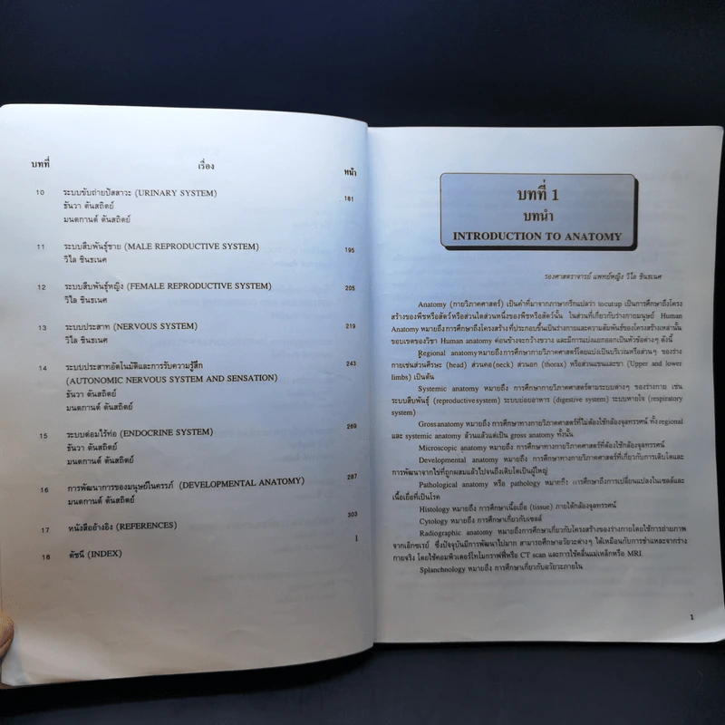 กายวิภาคศาสตร์ของมนุษย์ Human Anatomy รูปที่ 11