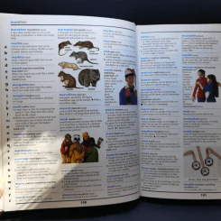 The Grolier Children's Dictionary รูปที่ 11