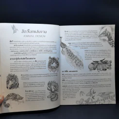 Animal Design สัตว์โลกแสนงาม - Maomee_Sammy รูปที่ 10