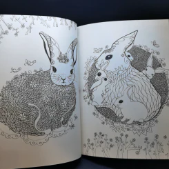 Animal Design สัตว์โลกแสนงาม - Maomee_Sammy รูปที่ 14
