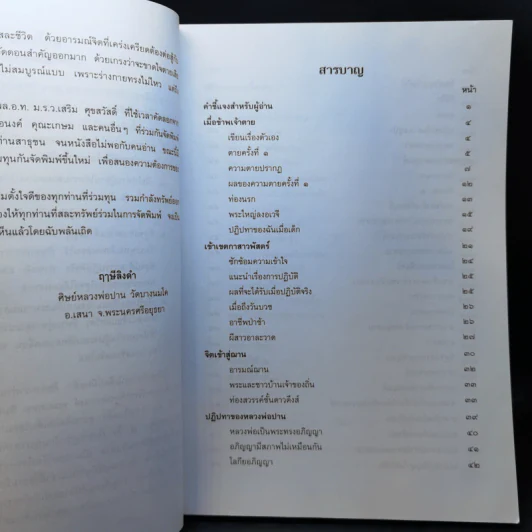 ประวัติหลวงพ่อปาน (พระครูวิหารกิจจานุการ) วัดบางนมโค รูปที่ 10
