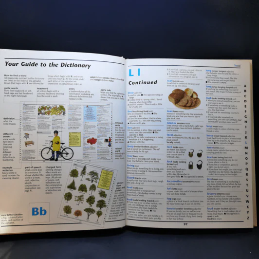 The Grolier Children's Dictionary รูปที่ 10