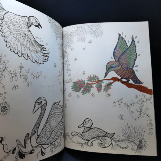 Animal Design สัตว์โลกแสนงาม - Maomee_Sammy รูปที่ 16