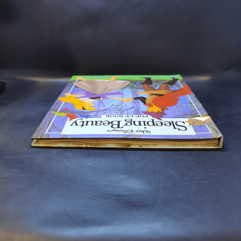 Walt Disney's Sleeping Beauty Pop-Up Book รูปที่ 6