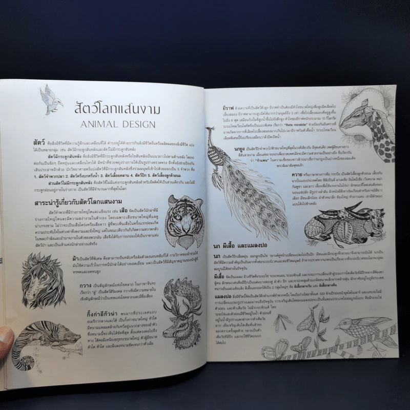 Animal Design สัตว์โลกแสนงาม - Maomee_Sammy รูปที่ 10