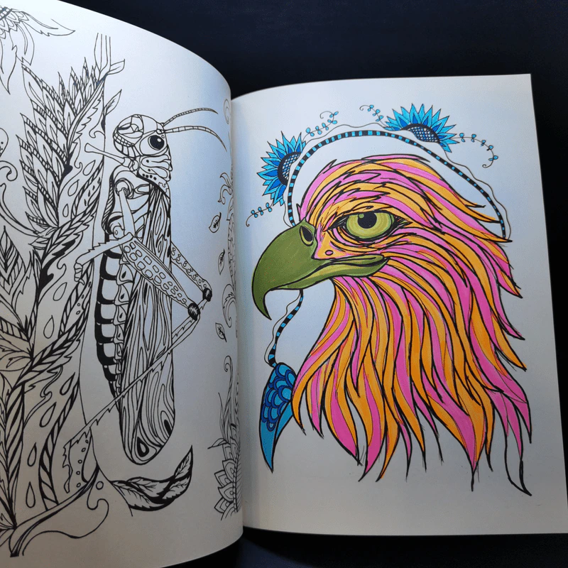 Animal Design สัตว์โลกแสนงาม - Maomee_Sammy รูปที่ 15