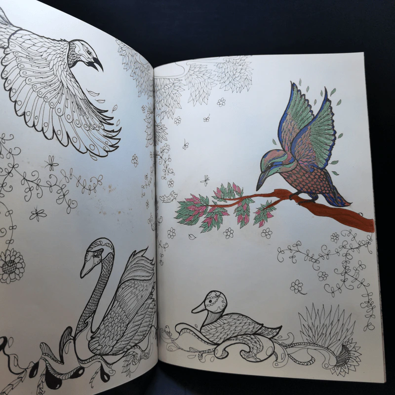 Animal Design สัตว์โลกแสนงาม - Maomee_Sammy รูปที่ 16