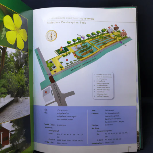 สวนสวรรค์ของชาวกรุง รูปที่ 35