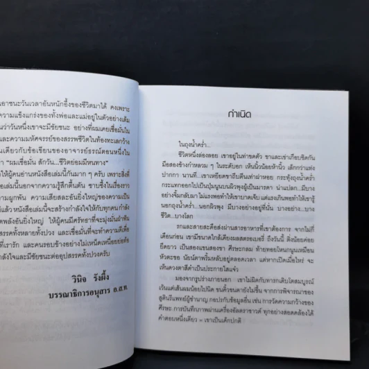 เด็กชายลำไส้สั้น - ธรณ์ ธำรงนาวาสวัสดิ์ รูปที่ 9