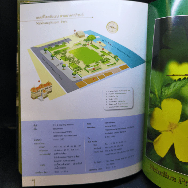 สวนสวรรค์ของชาวกรุง รูปที่ 34