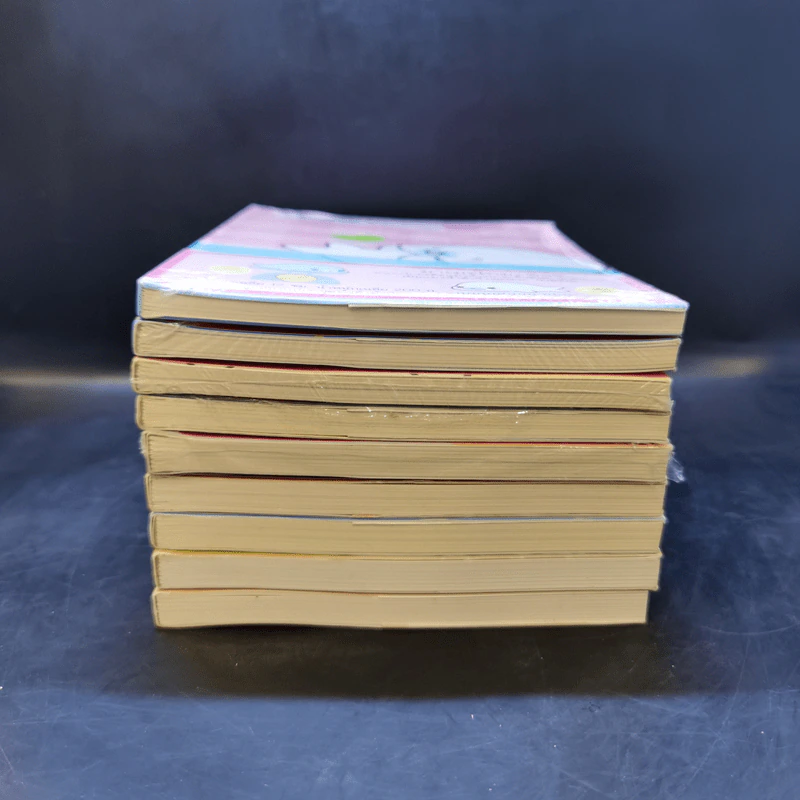 บันทึกของฉันกับมาเมะโกมะ เล่ม 1-9 รูปที่ 3