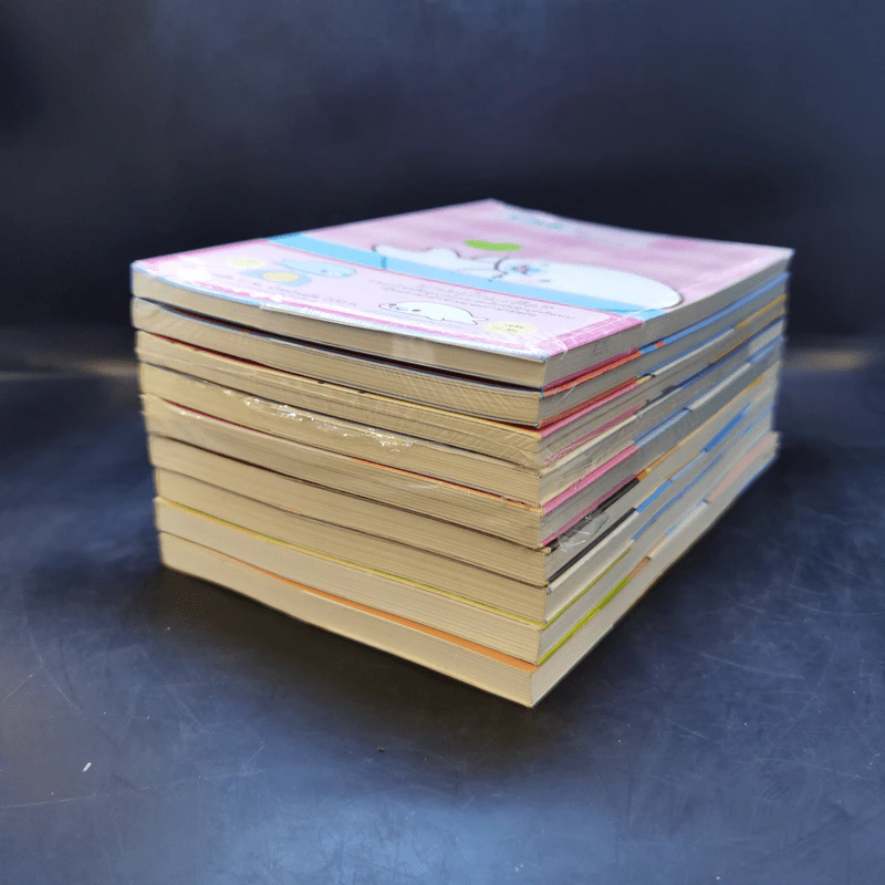 บันทึกของฉันกับมาเมะโกมะ เล่ม 1-9 รูปที่ 6
