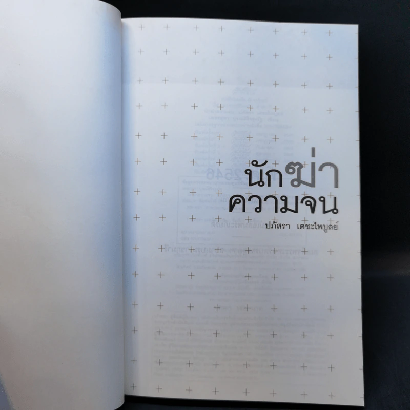 นักฆ่าความจน - ปภัสรา เตชะไพบูลย์ รูปที่ 8