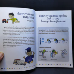 สร้างลูกสมองไวใน 1,000 วัน รูปที่ 11
