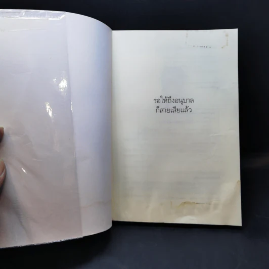 รอให้ถึงอนุบาลก็สายเสียแล้ว - มาซารุ อิมุกะ รูปที่ 8