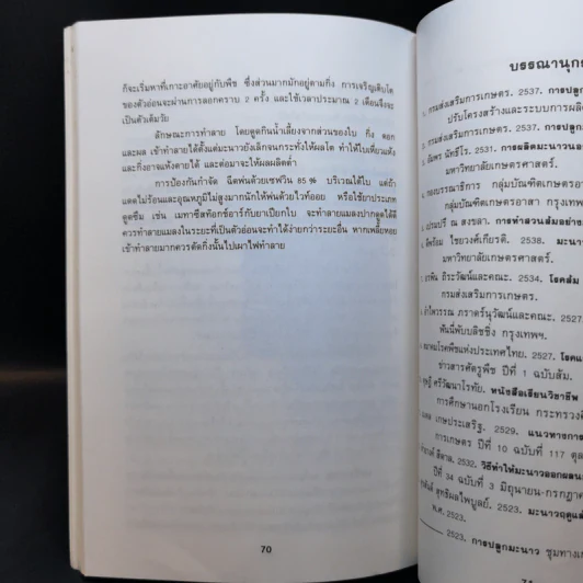 การปลูกมะนาว - ศุภกิจ แก้วถนอม รูปที่ 11
