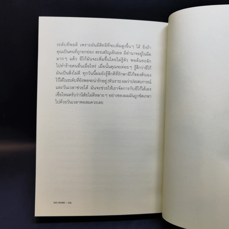 No More No Less - วงศ์ทนง ชัยณรงค์สิงห์ รูปที่ 11